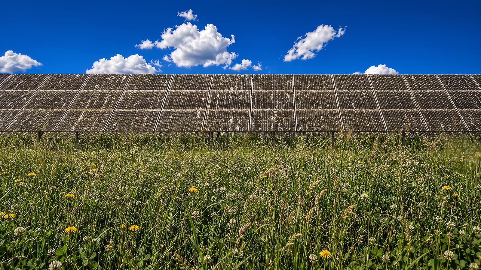 Zero-turn mower clearing tall grass in front of a solar array